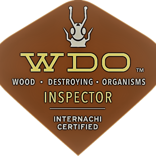 WDOInspector web